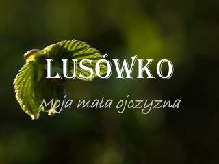 Lusówko
