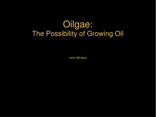 Oilgae: The Possibility of Growing Oil