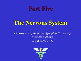 Part Five The Nervous System