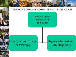 TERENOWE ORGANY ADMINISTRACJI PUBLICZNEJ