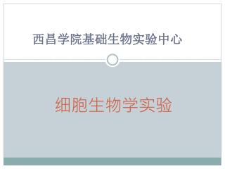 细胞生物学实验