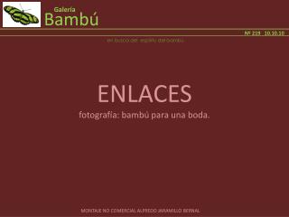 Bambú