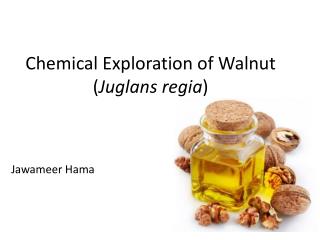 Chemical Exploration of Walnut ( Juglans regia )