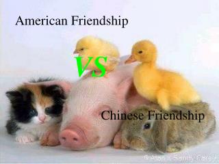 American Friendship