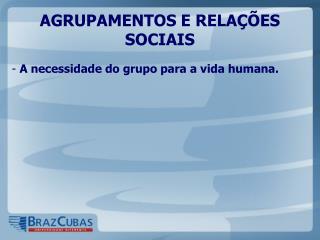 AGRUPAMENTOS E RELAÇÕES SOCIAIS