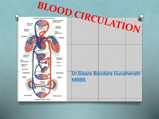 BLOOD CIRCULATION