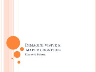 Immagini visive e mappe cognitive