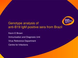 Genotype analysis of anti-B19 IgM positive sera from Brazil