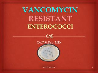 VANCOMYCIN RESISTANT ENTEROCOCCI