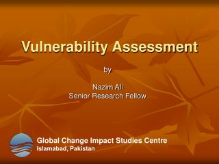 Vulnerability Assessment