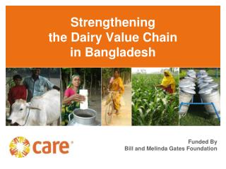 Strengthening the Dairy Value Chain in Bangladesh