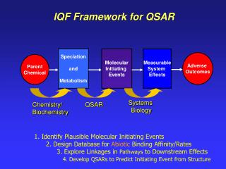 IQF Framework for QSAR