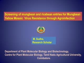 Department of Plant Molecular Biology and Biotechnology,