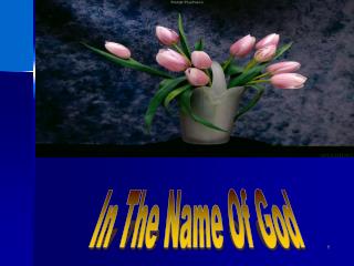 In The Name Of God