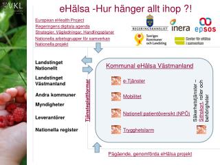 eHälsa -Hur hänger allt ihop ?!