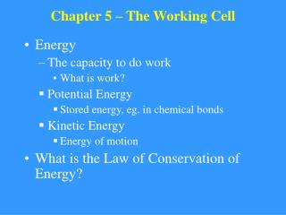 Chapter 5 – The Working Cell