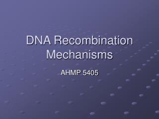 DNA Recombination Mechanisms