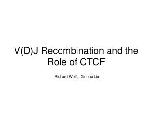 V(D)J Recombination and the Role of CTCF
