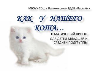 КАК У НАШЕГО КОТА…