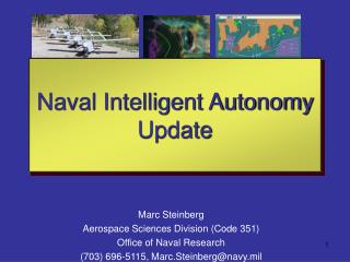 Marc Steinberg Aerospace Sciences Division (Code 351) Office of Naval Research