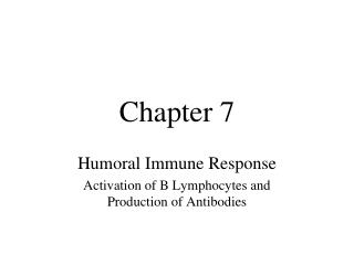 Chapter 7