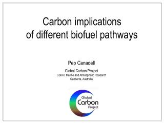 Carbon implications of different biofuel pathways