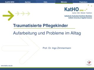 Traumatisierte Pflegekinder Aufarbeitung und Probleme im Alltag