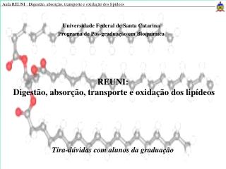 REUNI: Digestão, absorção, transporte e oxidação dos lipídeos