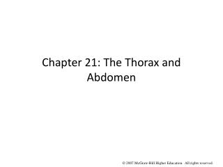 Chapter 21: The Thorax and Abdomen