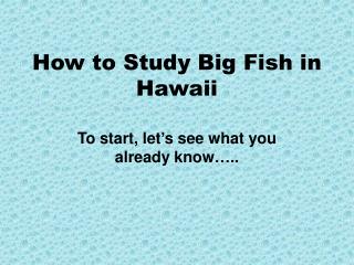 How to Study Big Fish in Hawaii
