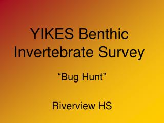 YIKES Benthic Invertebrate Survey