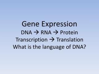 Gene Expression DNA  RNA  Protein Transcription  Translation What is the language of DNA?