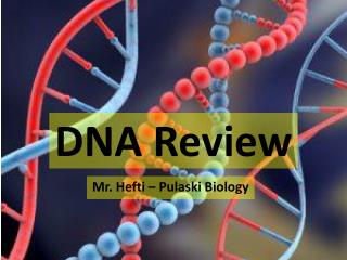 DNA Review