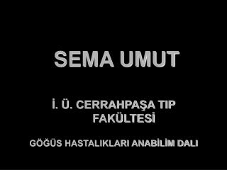 SEMA UMUT