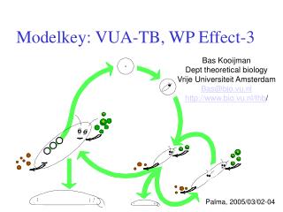 Modelkey: VUA-TB, WP Effect-3