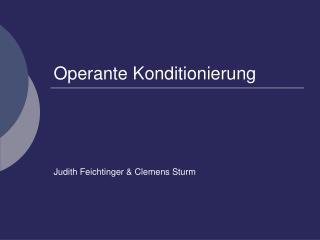 Operante Konditionierung