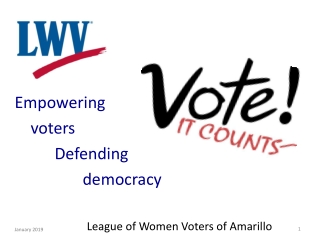 Empowering voters 	 Defending democracy