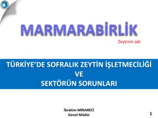 TÜRKİYE’DE SOFRALIK ZEYTİN İŞLETMECİLİĞİ VE SEKTÖRÜN SORUNLARI