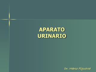 APARATO URINARIO