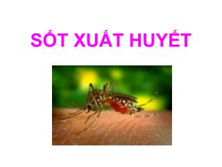 SỐT XUẤT HUYẾT