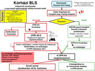 Kórházi BLS Alapszintű újraélesztés a szervezett egészségügyi ellátás keretein belül