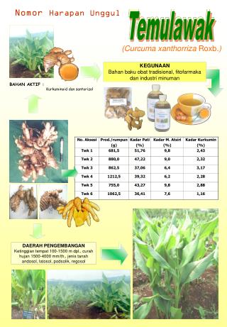 BAHAN AKTIF : Kurkuminoid dan santorizol