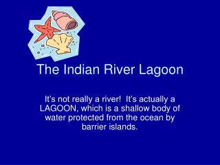 The Indian River Lagoon