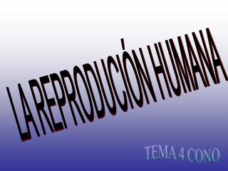 LA REPRODUCIÓN HUMANA