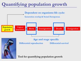 Quantifying population growth