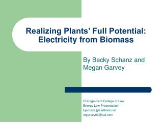 Realizing Plants’ Full Potential: Electricity from Biomass