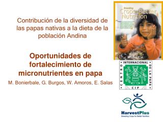 Oportunidades de fortalecimiento de micronutrientes en papa