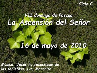 Ciclo C