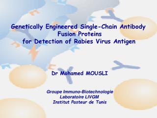 Genetically Engineered Single-Chain Antibody Fusion Proteins