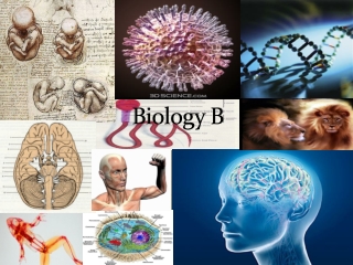 Biology B